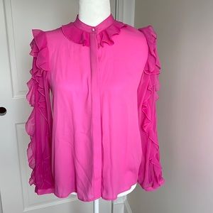 NVW Zara Pink Long Sleeves Top